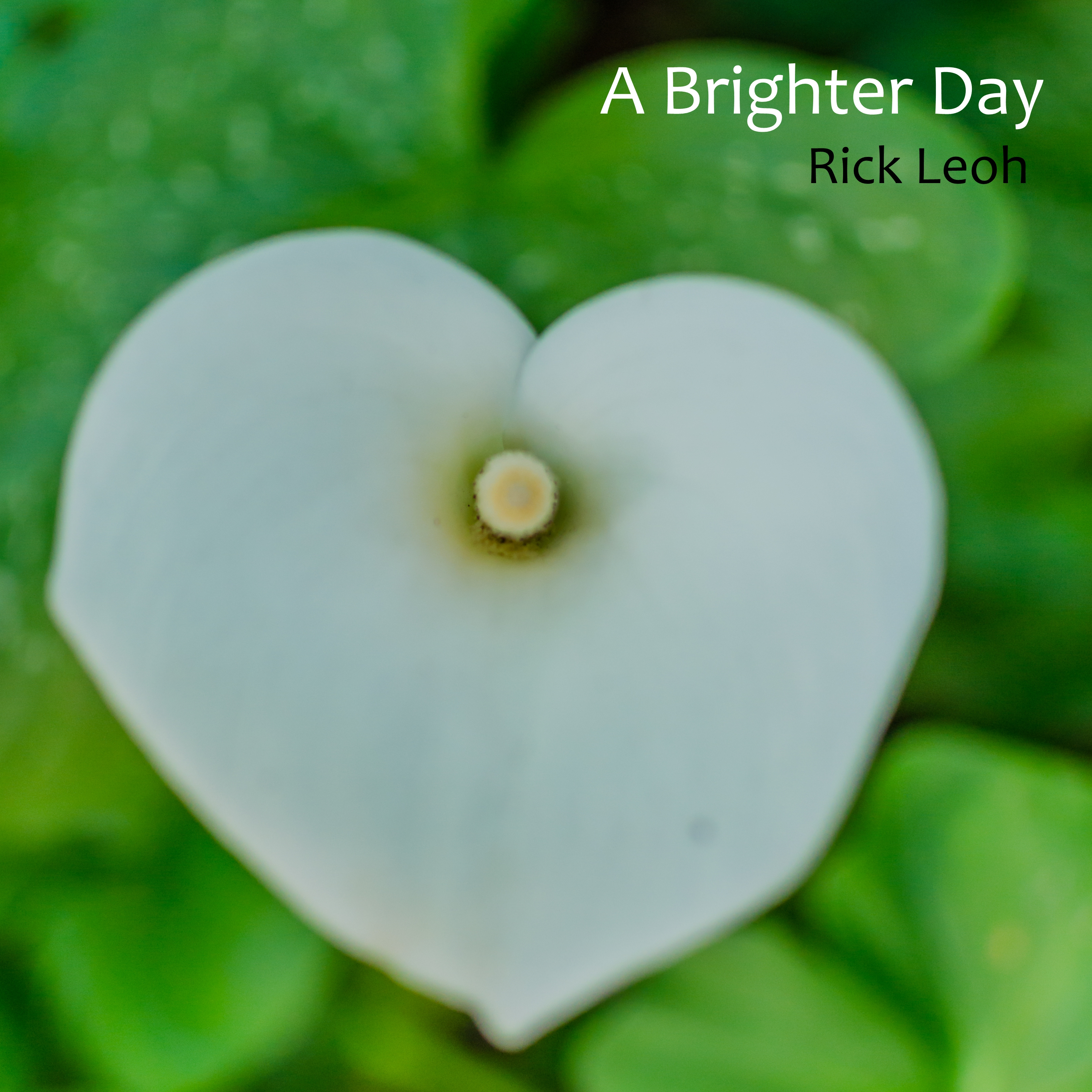a Brighter Day - Rick Leoh_ Album Art